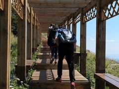 -白草畔自然风景区