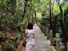 -十八棵（老龙井）御茶园(老龙井店)