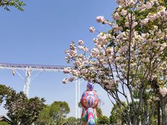 -金卉庄园