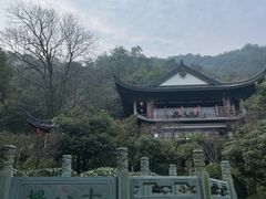 -十八棵（老龙井）御茶园(老龙井店)