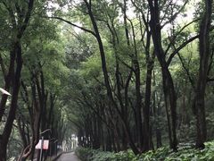 -上海市保健医疗中心