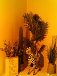 -VE专注问题肌·赛诺龙&科学美肤中心