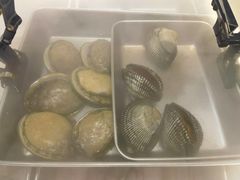 -KAOKAO烤烤·丹东海鲜烧烤(望京店)