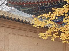 -青岛崂山太清宫