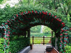 -郑州方特梦幻王国