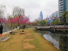 -西北湖绿化广场