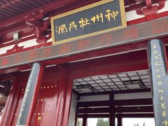 -神州牡丹园