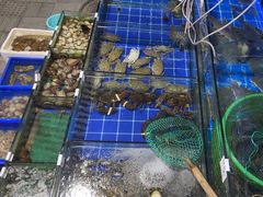 -香满居张记小厨私房菜(青岛站店)