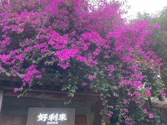 -星巴克臻选(成都宽窄巷子店)