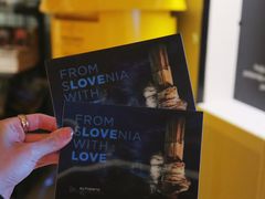 -波斯托伊纳溶洞