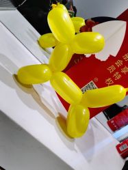 -华卫思理轻奢造型