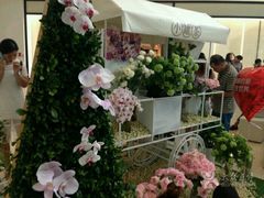 -小罐茶(济南恒隆广场店)