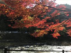 -名古屋城