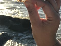 -汕头中海黄金海岸水上乐园