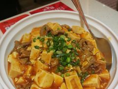 麻婆豆腐煮肥牛-潮庭港式茶餐厅·熊仔奶茶(同济广场店)