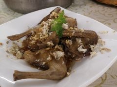 -百利鸽王(紫薇路店)