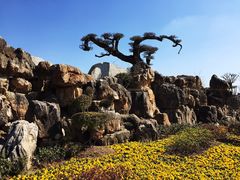 -南通洲际绿博园