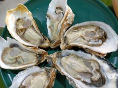 -吉品莞家·鲍鱼鸡煲(东莞店)