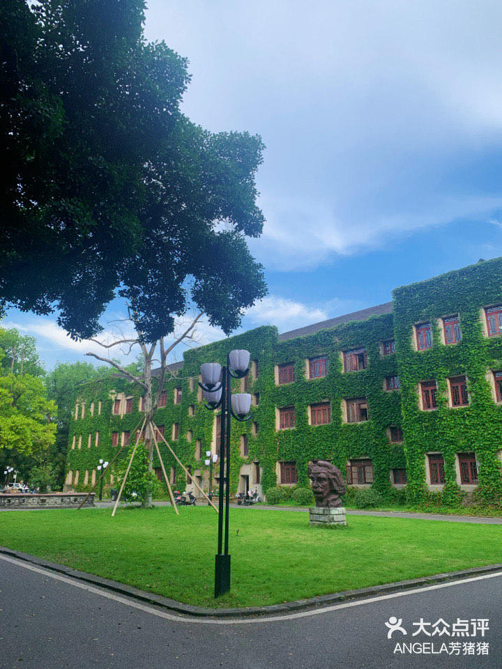 西南大学蓝花楹!-大众点评