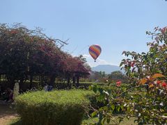-中国科学院西双版纳热带植物园