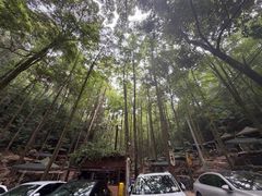 -凤栖山