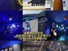-中国西峡恐龙遗迹园