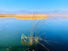 -野鸭湖国家湿地公园