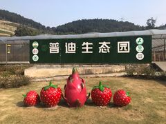 -普迪生态园