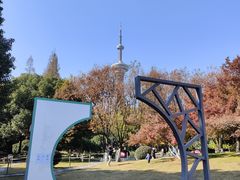 -南京古林公园