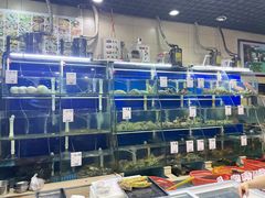 水产区-阿静美食