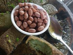 -农厨好味·温泉鹅·农家菜