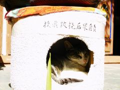 -寂照庵