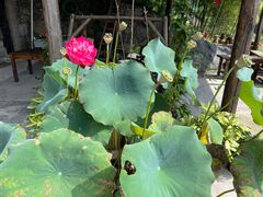 -藏龙百瀑漂流