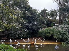 -珠海长隆海洋王国