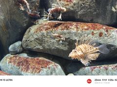 -新加坡海洋生态馆