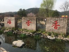 -香雪海