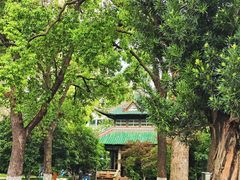 -长沙市青少年宫