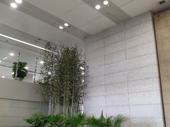 -上海浦东国际机场-T2航站楼