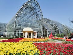 -南山植物园