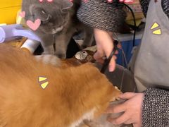-平行世界·猫咖(首经贸店)