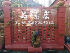 -品德宏·孔雀宴的发源地(金塔园店)