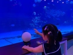 -烟台海昌鲸鲨海洋公园