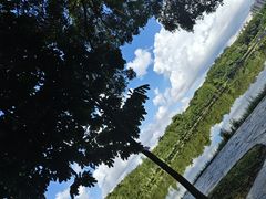 -东莞植物园