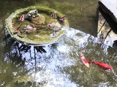 -瑞丰园庭院餐厅·白族传统家常菜