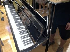 -柏斯音乐艺术中心·钢琴·吉他(上音店)