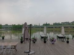 -白鹭湾湿地公园