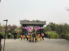 -合肥三国新城遗址公园