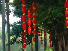 -东风公园
