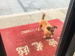 -熙盛源(滨湖万达店)