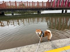 -芒洲湿地公园